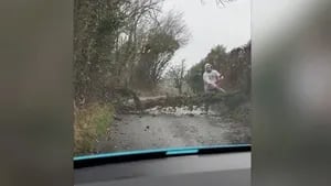 Este hombre intentó apartar un árbol que le impedía el paso en la carretera, pero acabó cayendo