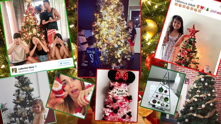 Los famosos armaron sus arbolitos. Fotos: Instagram y Twitter.