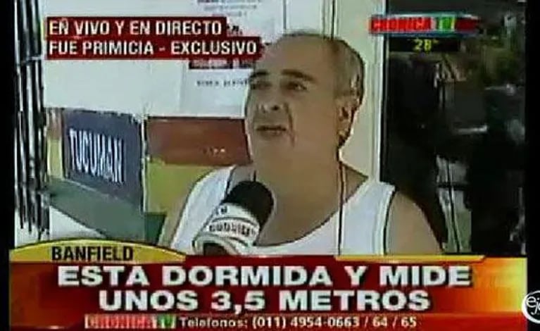 La placa roja de Crónica cuando desapareció la boa. (Foto: TV)