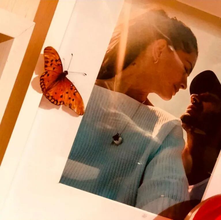 La tierna anécdota de la China Suárez con a Rufina, atraídas por una mariposa: "Voló y fue directo a la foto"