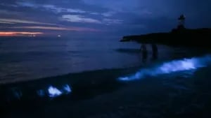 Capturan en imágenes la magia del plancton bioluminiscente en una playa de Gales