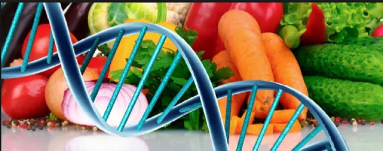 La dieta del genotipo: mirá esta excelente opción para adelgazar