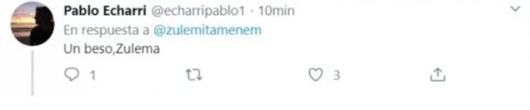 El impensado cruce twittero entre Pablo Echarri y Zulemita Menem: "¿Me parece a mí o hay algo que está mal?"