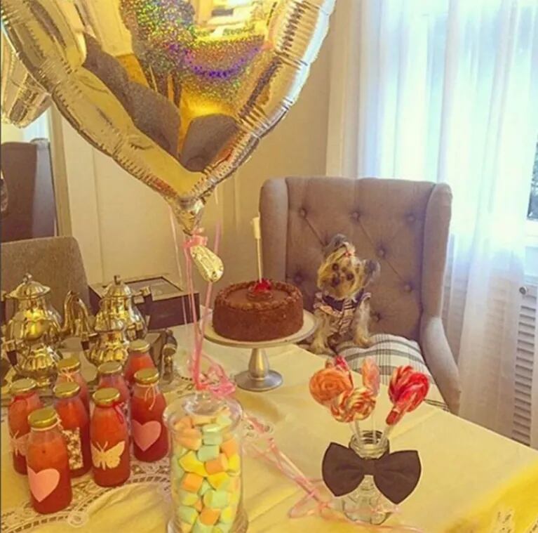 Solange Abraham le festejó el cumpleaños a su perrita en un hotel de lujo: "Happy birthday, Miss Margarita"