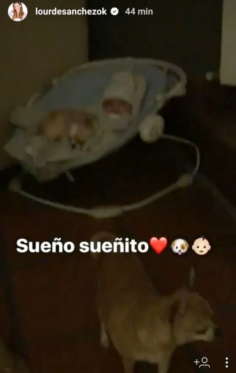 El divertido video de Lourdes Sánchez intentando alzar a su bebé… ¡pero su perrita no la deja!: "Se cree la mamá" 