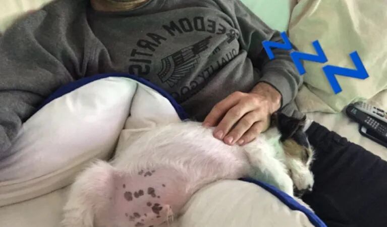 Pico Mónaco presentó al perrito que sumó al hogar que comparte con Pampita: ¡mirá cómo se llama!
