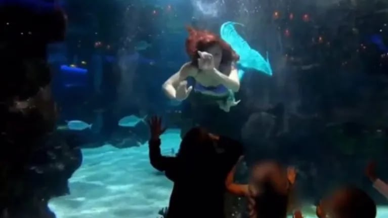 Así es la vida de Sabina Rose, la sirenita de la vida real que se gana la vida en un acuario