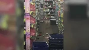 Unas ratas sembraron el caos en los pasillos de una farmacia