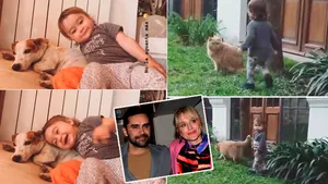 Los tiernos videos de Alfonsina, la hija de Brenda Gandini y Gonzalo Heredia, súper cariñosa con su perrito