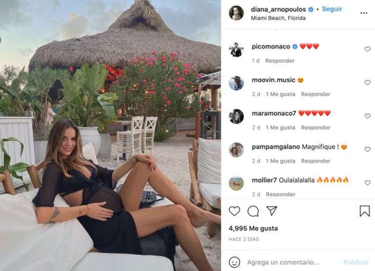 Diana Arnopoulos lució su pancita de 27 semanas de embarazo y Pico Mónaco reaccionó con dulzura: lluvia de emojis de corazones 