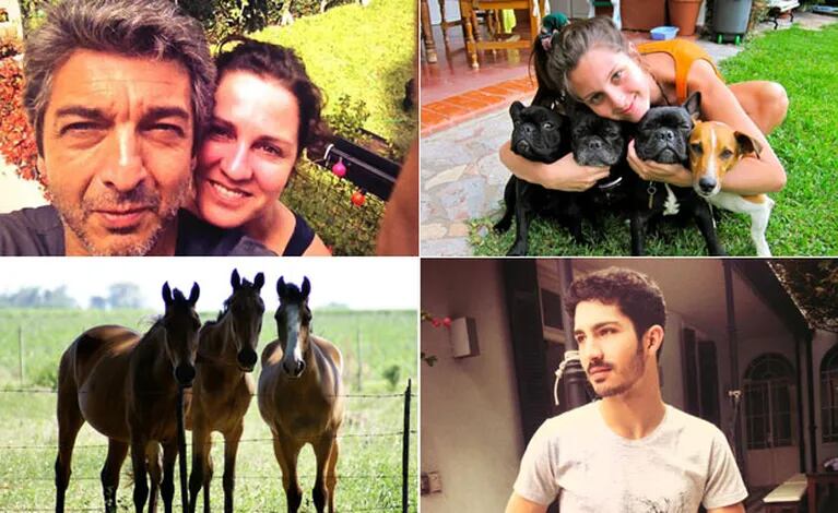 Las fotos de la intimidad de la familia Darín (Fotos: Twitter y Facebook)