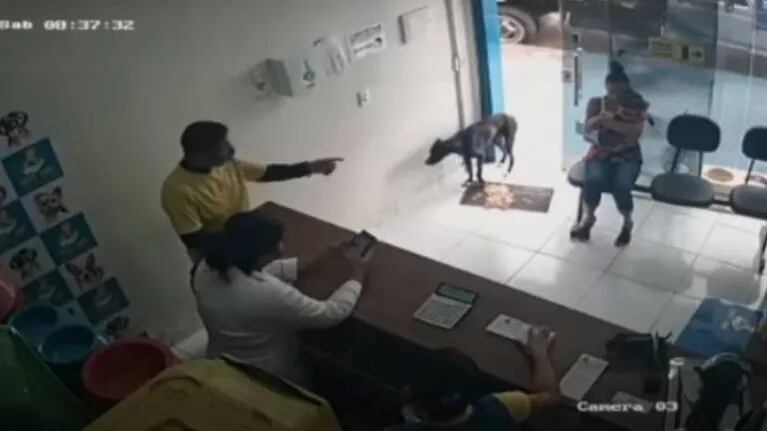 Perrito entra solo a un veterinaria de Brasil y muestra su pata pidiendo ayuda