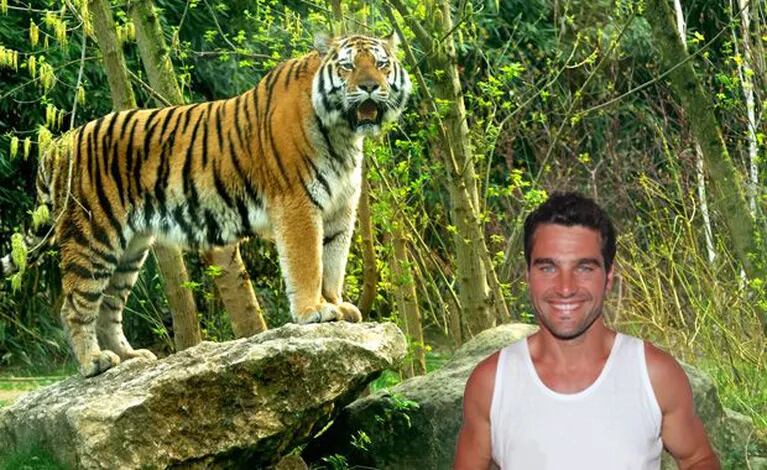 Hernán Drago y su insólito encuentro en la selva con un tigre (Foto: diseño Ciudad.com).
