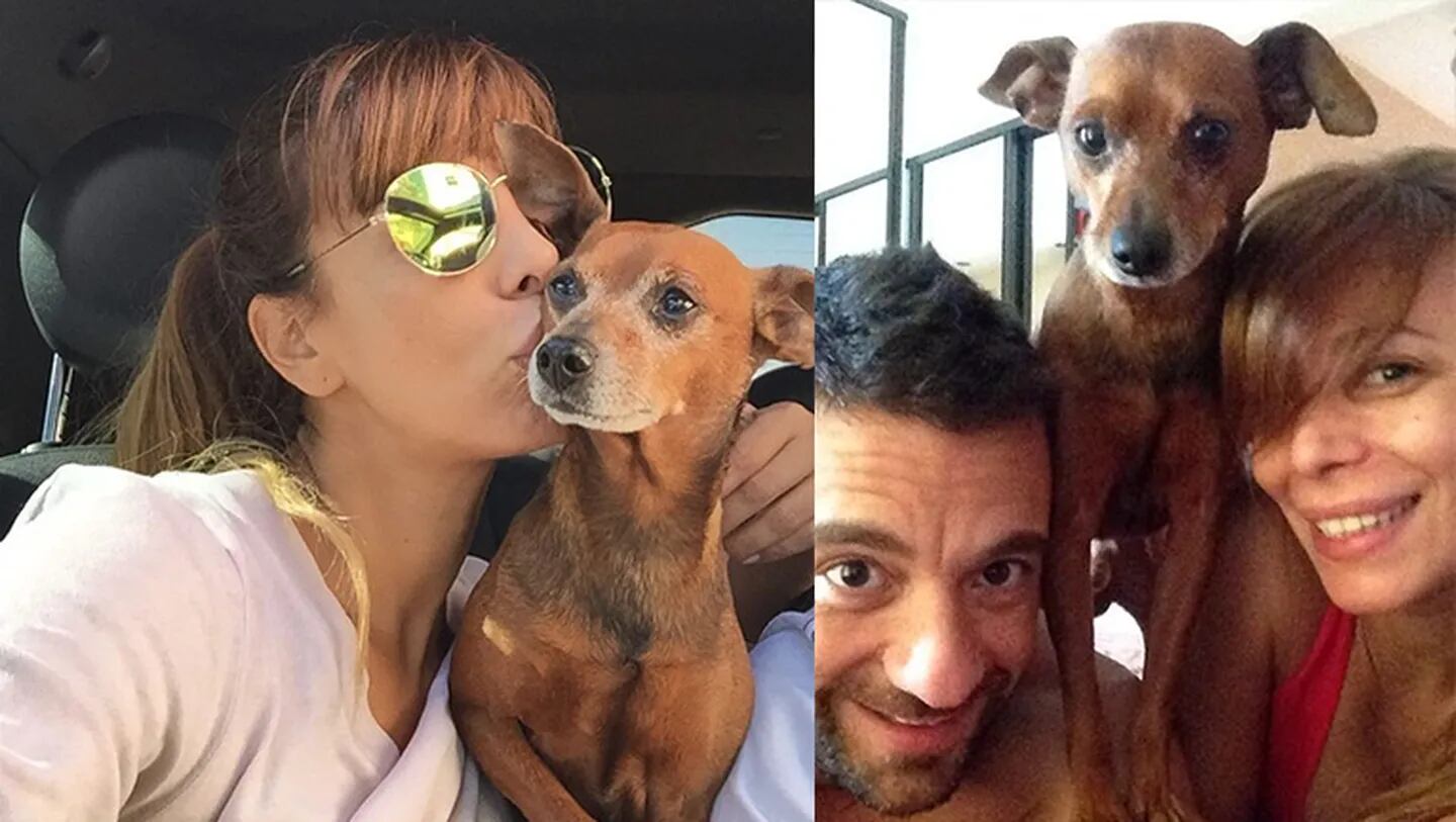 Ximena Capristo y Gustavo Conti compartieron su angustia por la muerte de su mascota.