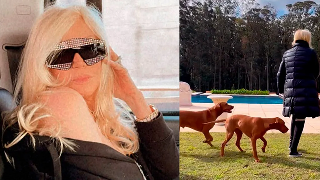 Susana Giménez fue recibida por sus perros y publicó el divertido video en redes
