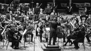 La Orquesta Sinfónica Nacional vuelve a Neuquén después de 25 años (Foto: Web)