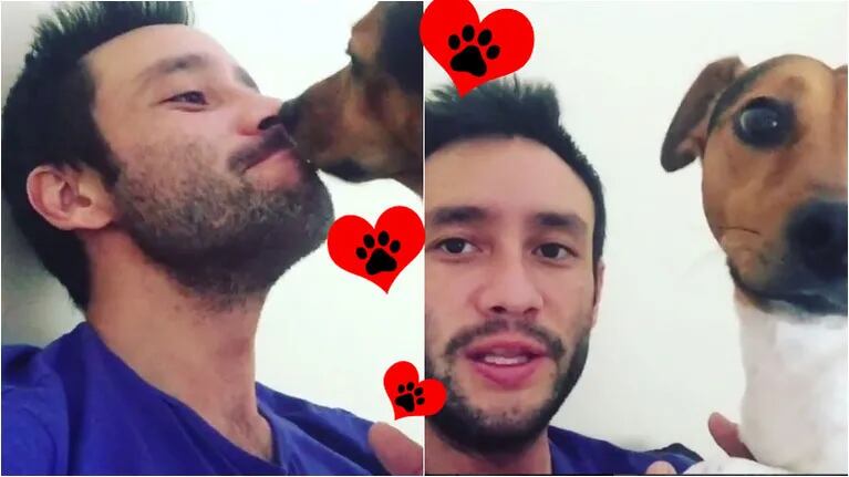 El tierno video de Luciano Pereyra, tras ser operado, junto a su perro Rocky. Foto: Captura