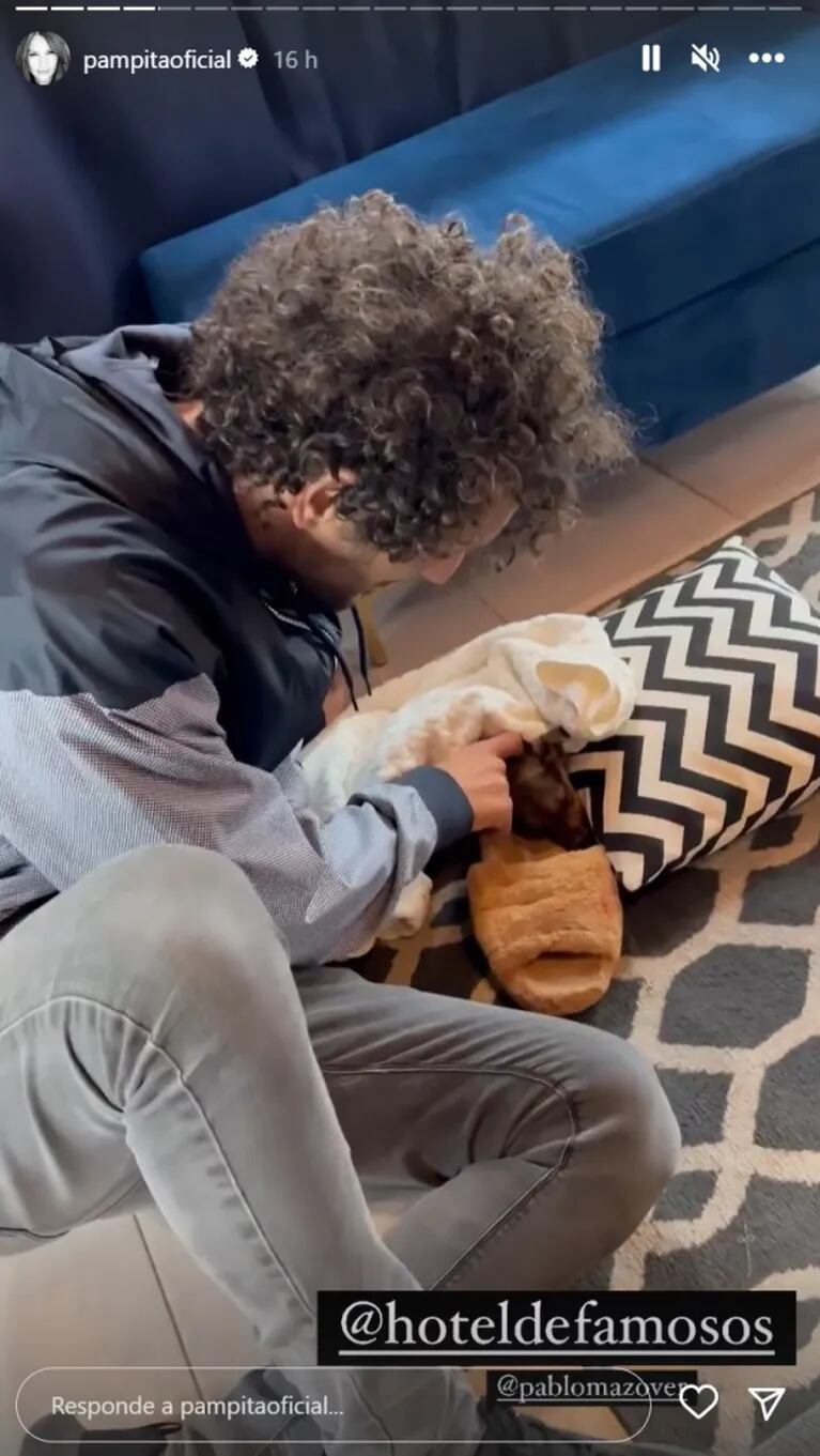 Pampita encontró una perrita en las grabaciones de El Hotel de los Famosos 2 y la puso en adopción