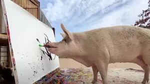 Pigcasso, el cerdo artista que pintó un cuadro abstracto del príncipe Harry