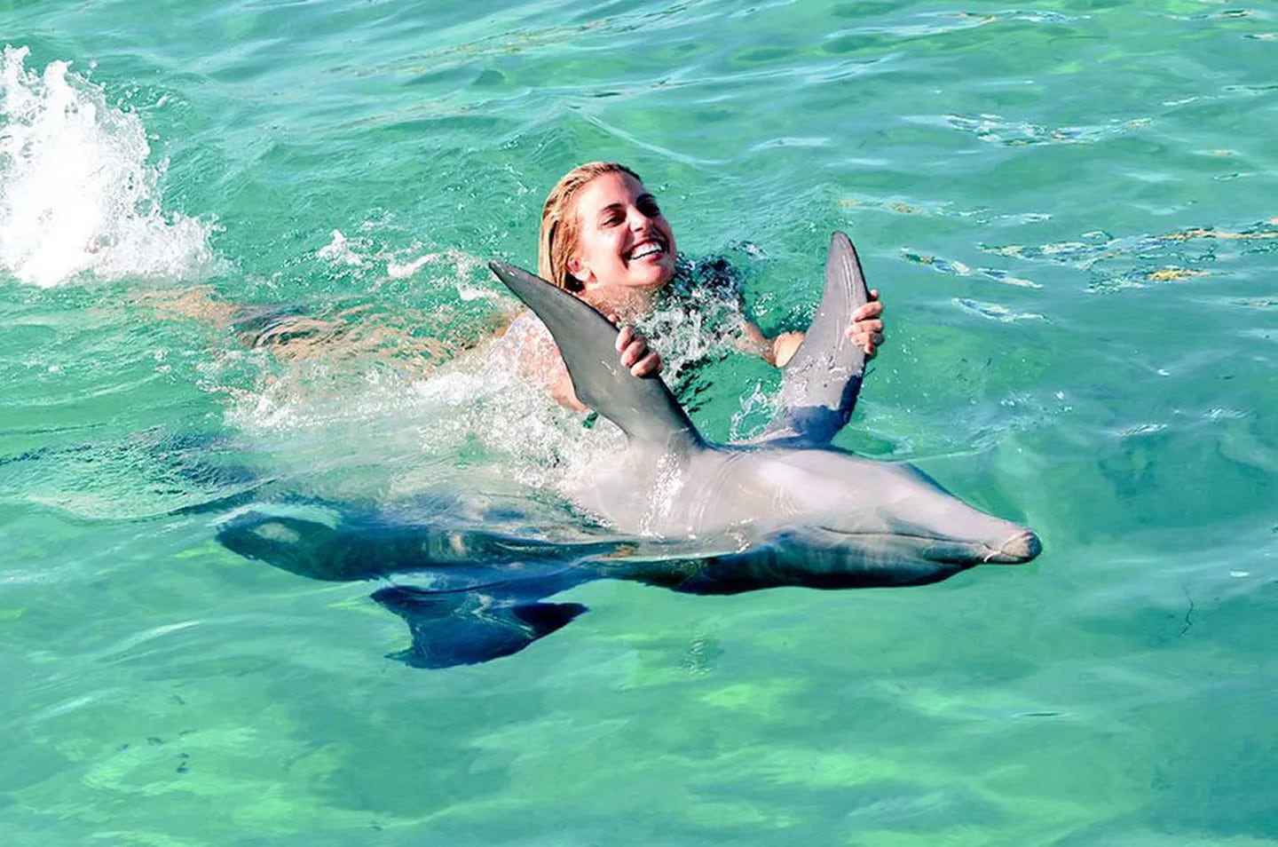 Virginia Gallardo y su novio nadaron con delfines (Foto: Twitter)