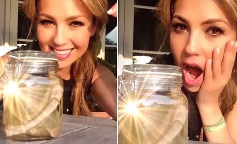 Thalía se ríe de sí misma y publicó una foto en Instagram con las "costillas" que se sacó. (Foto: Instagram)