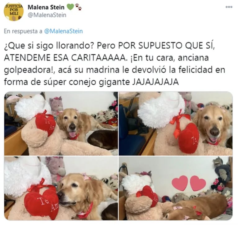El tierno gesto de China Suárez con una perra que fue maltratada en la calle: "Su madrina le devolvió la felicidad"