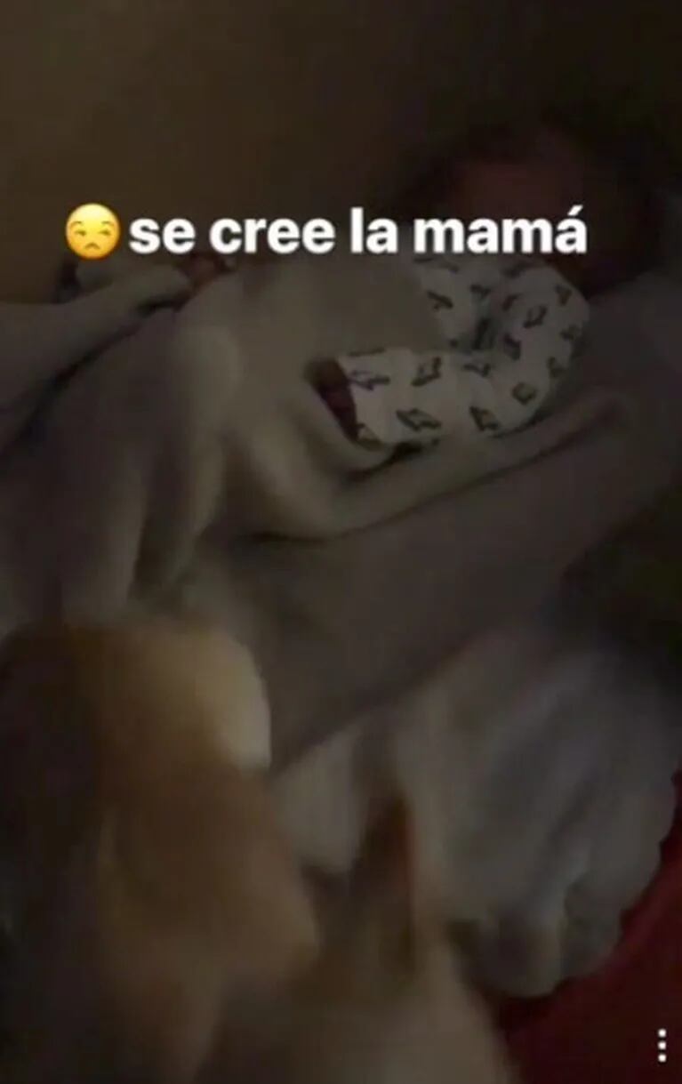 El divertido video de Lourdes Sánchez intentando alzar a su bebé… ¡pero su perrita no la deja!: "Se cree la mamá" 