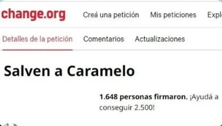 "Salven a Caramelo": juntan firmas para que Romina no se lleve al perrito a su casa