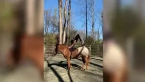 Esta mujer perfecciona sus posturas de yoga mientras hace equilibrios encima de su caballo