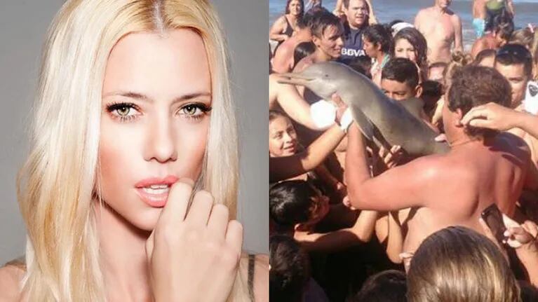 Nicole Neumann, furiosa con los turistas que mataron a un delfín (Fotos: Web). 