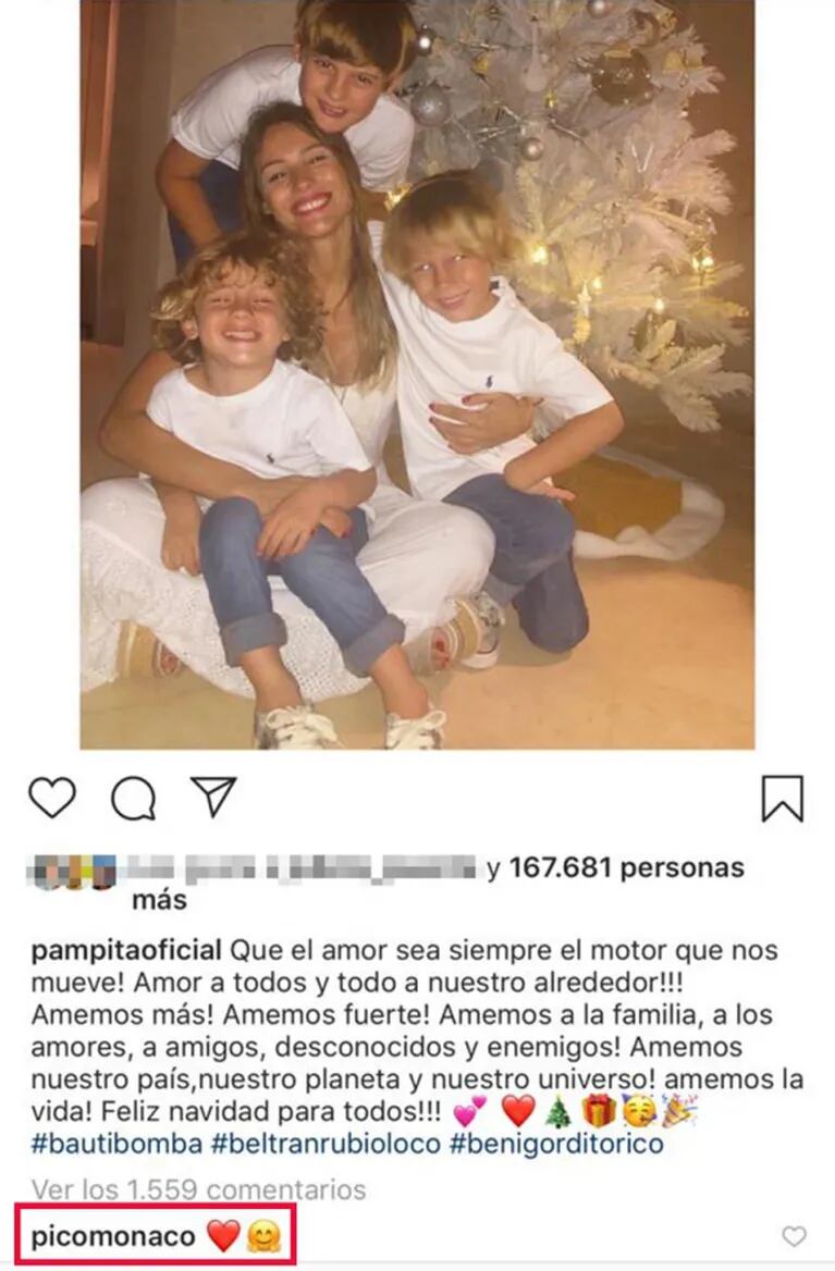 La dulce reacción de Pico Mónaco ante una foto de Pampita celebrando con sus hijos