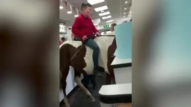 Este niño entra a un restaurante a lomos de un caballo