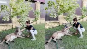 Una mujer rusa juega a darse un tratamiento de spa con su mascota: un puma