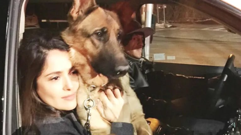 El dolor de Salma Hayek: mataron a su perro (Foto: Instagram)