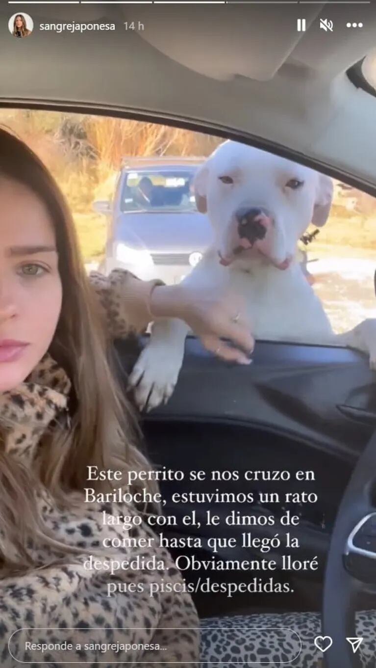 Desgarrador relato de China Suárez sobre un perrito que conoció en Bariloche: "Lloré en la despedida"