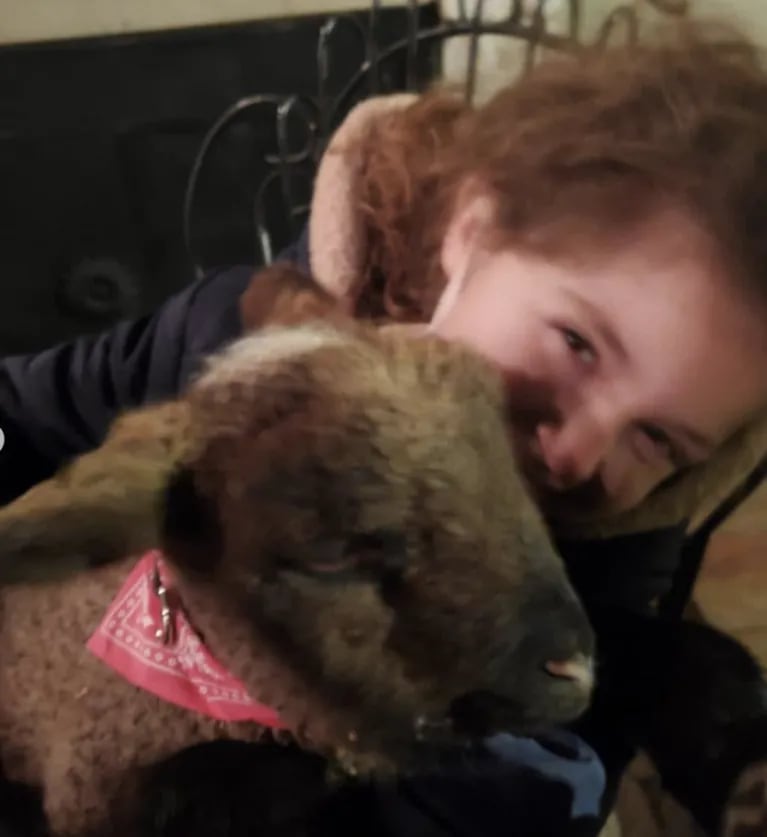 La alegría de Denise Dumas por haber adoptado dos mascotas: "Bienvenidos a nuestra familia, Pablo y Amapola"