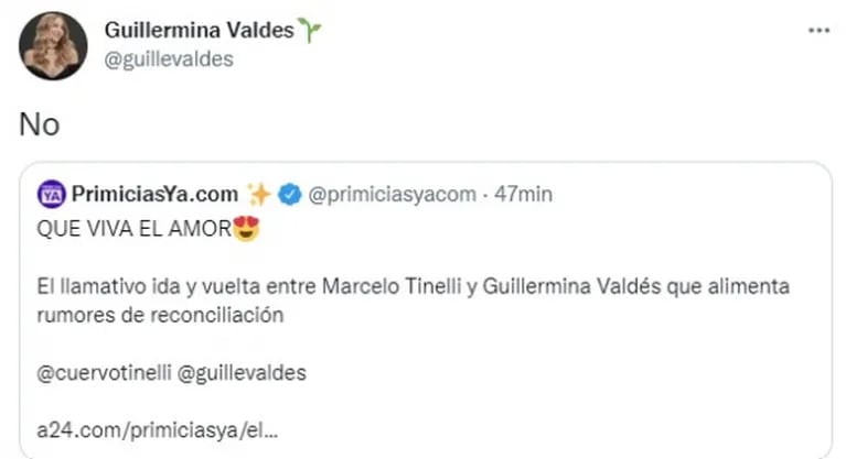 Contundente reacción de Guillermina Valdés ante la versión de reconciliación con Marcelo Tinelli
