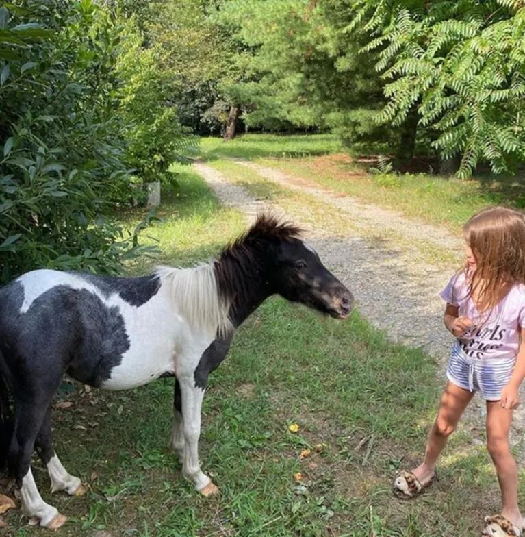 Wanda Nara y Mauro Icardi les regalaron ponis a sus hijas y estallaron las críticas: "Francesca encontró el caballo de sus sueños"