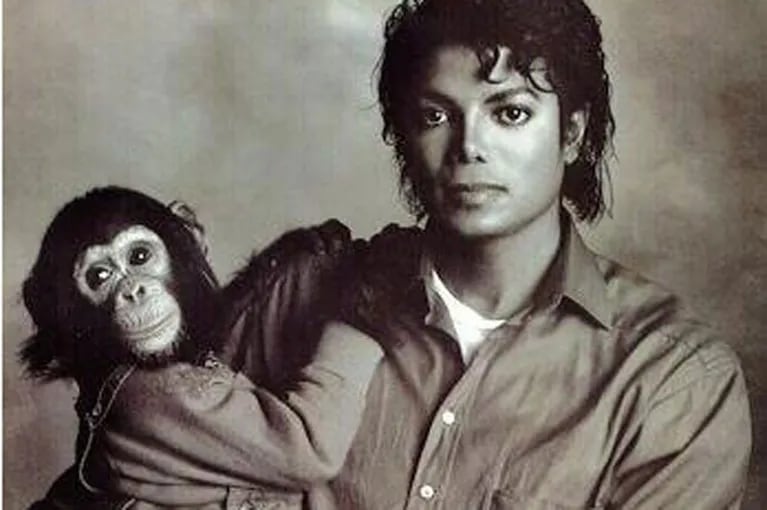 Aseguran que Michael Jackson maltrataba a su chimpancé. (Foto: Web)
