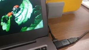 Este cable USB bloquea o destruye un ordenador para proteger los datos en caso de robo