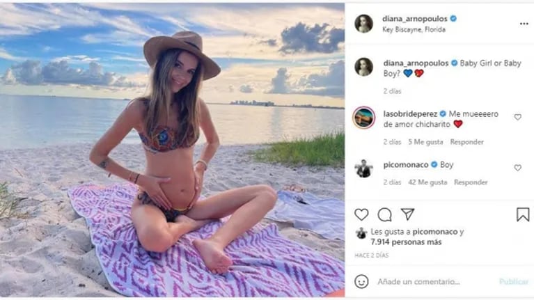 El llamativo comentario de Pico Mónaco en una foto de Diana Arnopoulos luciendo su pancita de embarazada: "Varón"