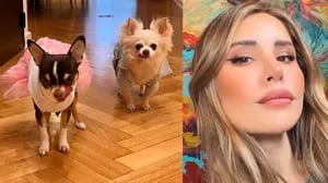 Micaela Tinelli le festejó el cumpleaños a su perra: torta para mascotas y outfit canino estilo barbiecore