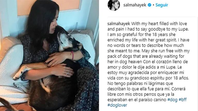 Salma Hayek, devastada por la muerte de su perrita Lupe