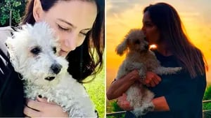 La tristeza de Luciana Aymar tras la muerte de su perrito: Mi compañero durante más de 14 años