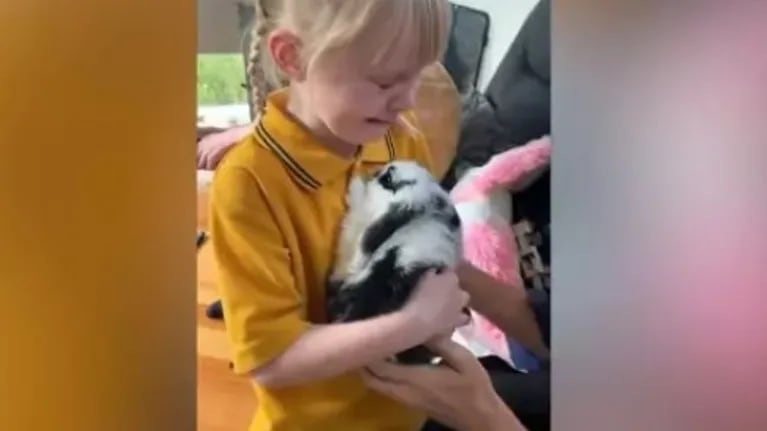 Mira la emotiva reacción de esta niña cuando su padre le regala una nueva mascota