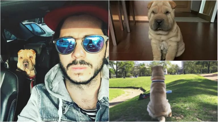 La tristeza de Nicolás Magaldi por la muerte de Randal, su perro: "Gracias por cambiarnos la vida" Foto: Instagram