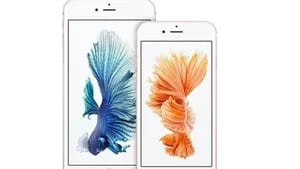 iPhone 6s y SE de primera generación podrán actualizar a iOS 15. Foto:DPA. 