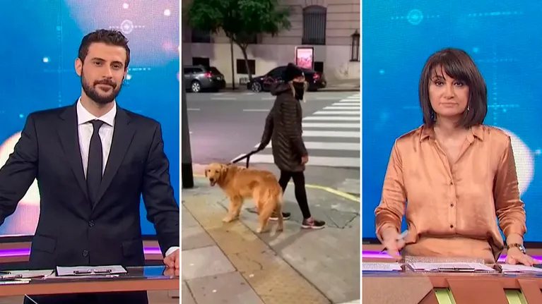 La reacción de la mujer que se viralizó pegándole a su perro tras que no le quitaran la mascota