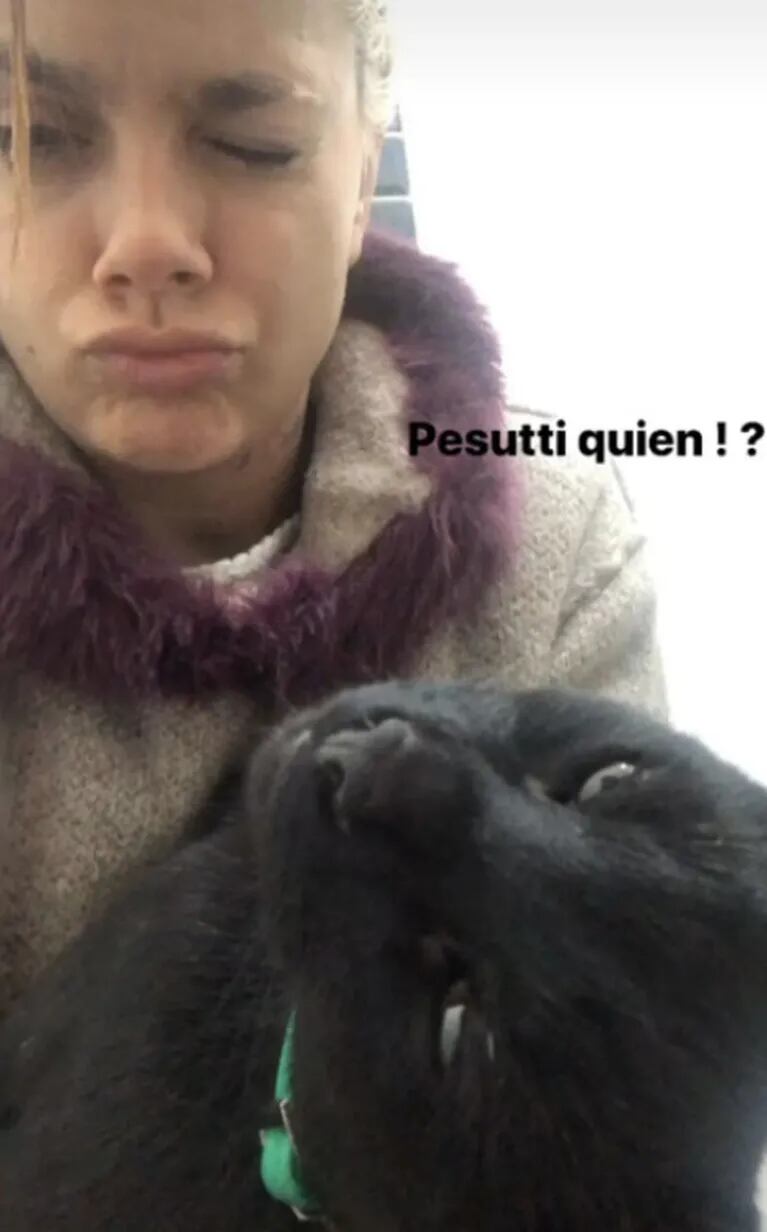 La bronca de Natalie Pérez, luego de que le dijeran que su gato negro da 'mala suerte': "A mí me trajo amor"