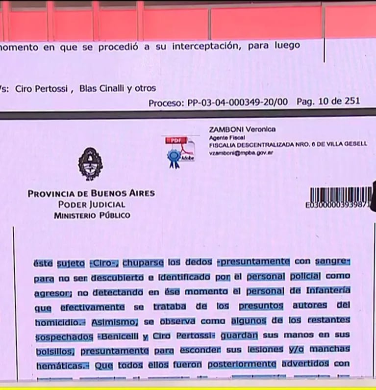Escalofriante detalle sobre el crimen de Fernando Báez Sosa: "Ciro Pertossi se chupó los dedos con presunta sangre"